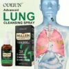 3X Concentrated Mullein Lung Cleanse Spray — Advanced Respiratory Detox & Clear Breathing