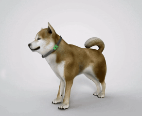 12Month Natural Flea Tick Protection Pendant - Image 4