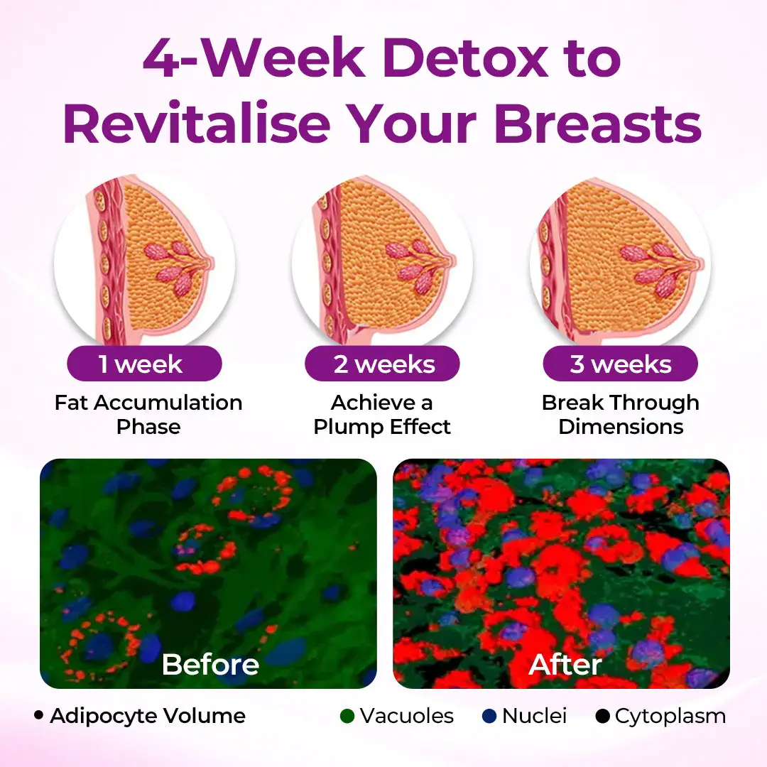 MaxCurve Sculpting & Volumizing Bust Oil - Image 11