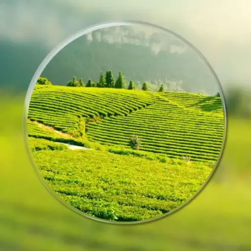 – The glasses that change everything - Image 10