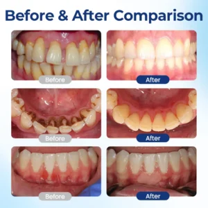 Alternative view of BeeTakt Oral Repair Solution