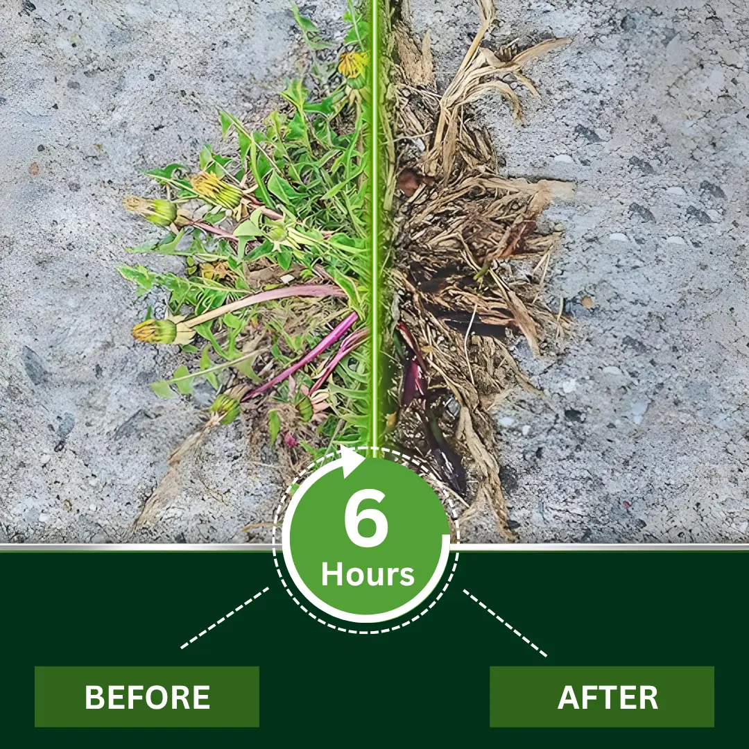 WeedClear 2-in-1 Max Power Herbicide - Image 6
